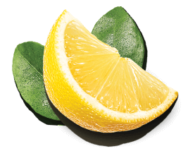 limon-8 limon-8