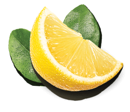 limon-1